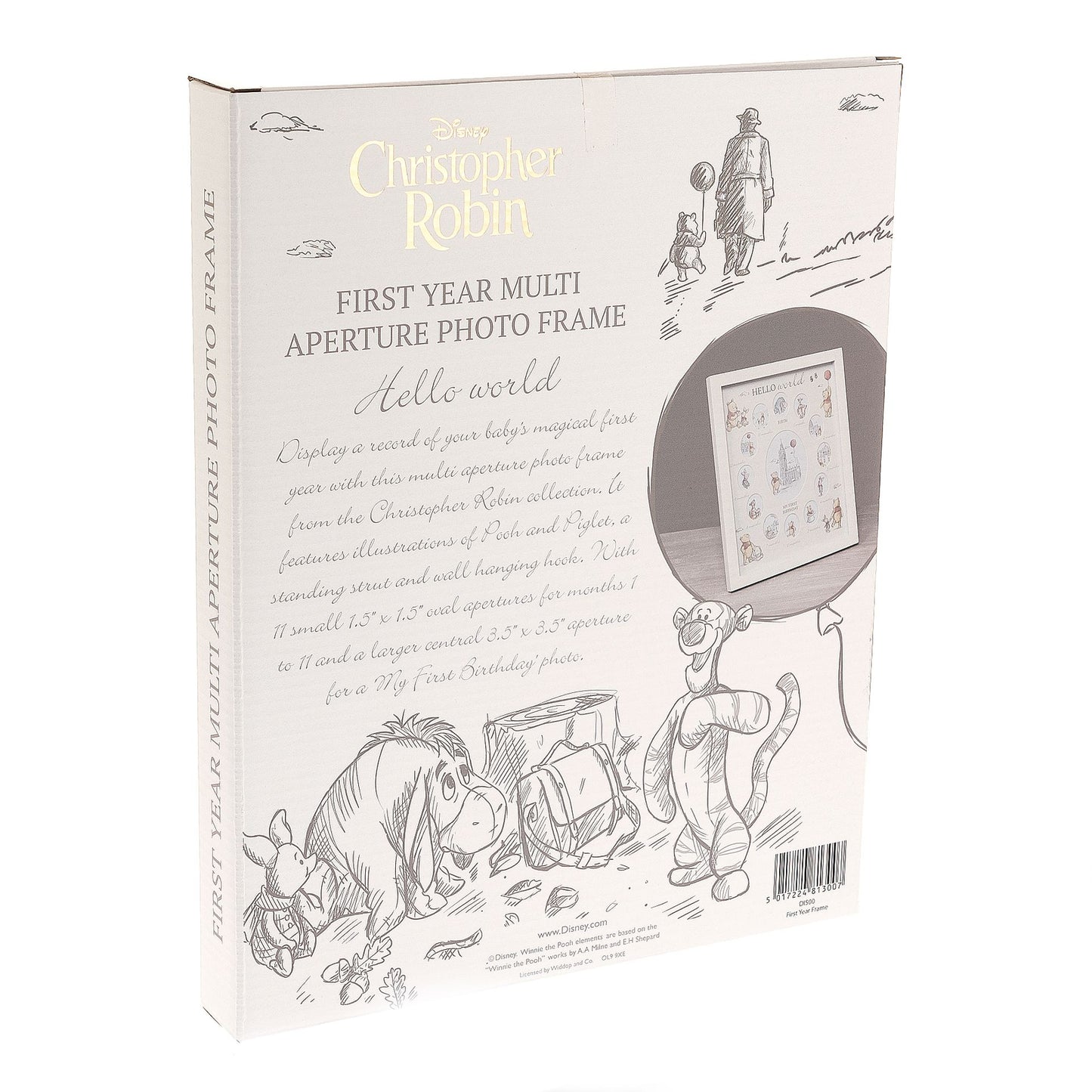 PRE-ORDER Disney Winnie the Pooh First Year Frame