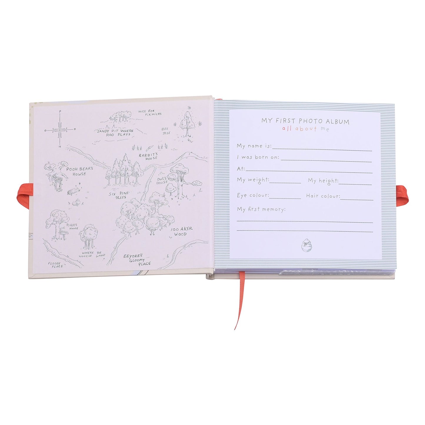 PRE-ORDER Disney Winnie the Pooh Photo Album
