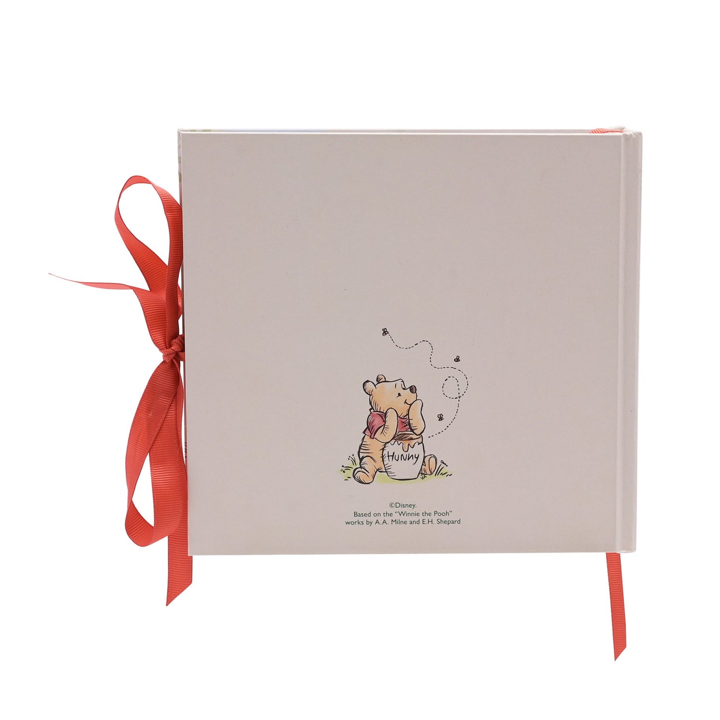 Disney Winnie the Pooh Photo Album