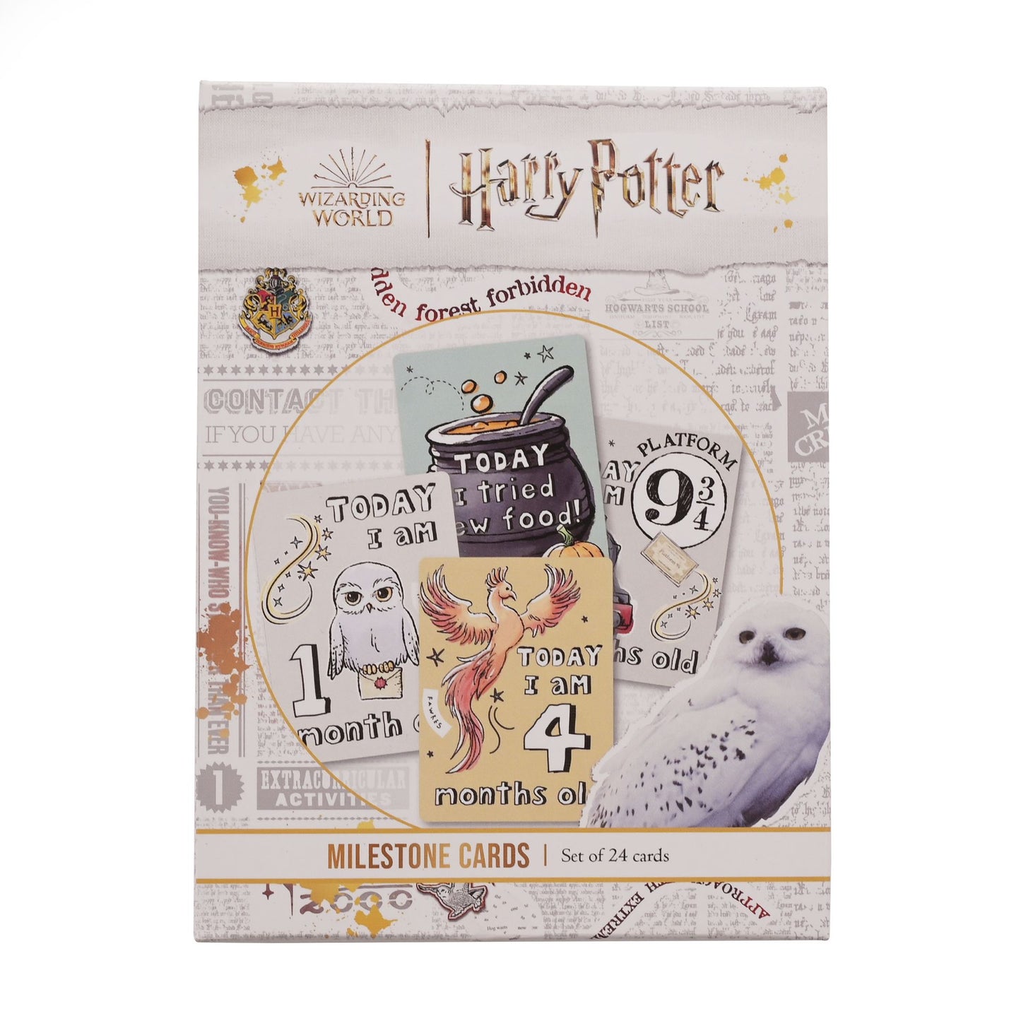 Harry Potter Charms Set of 24 Milestone Cards