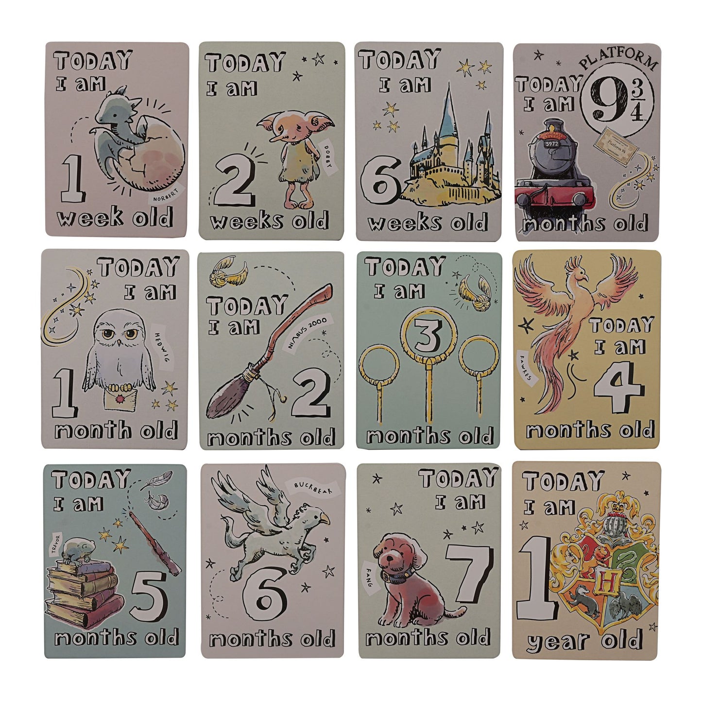 Harry Potter Charms Set of 24 Milestone Cards