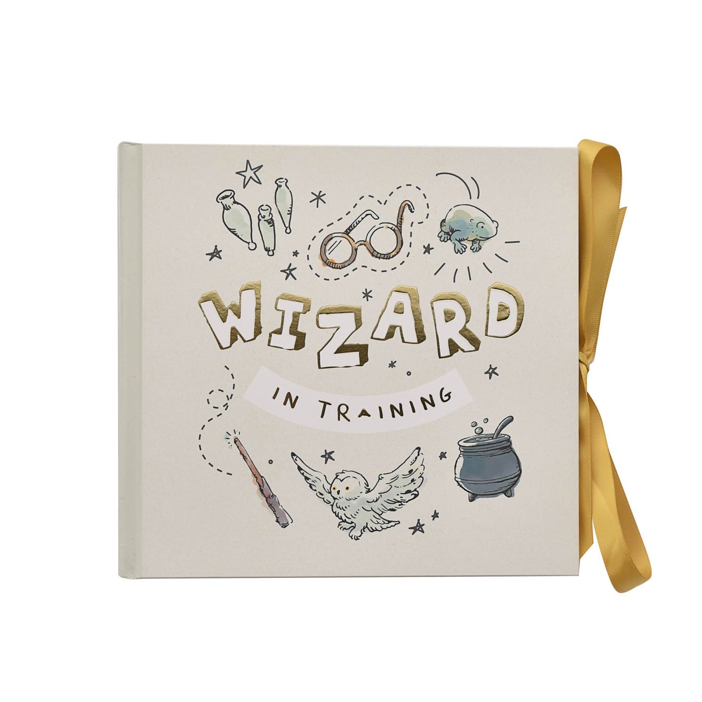 Harry Potter Charms Wizard Photo Album